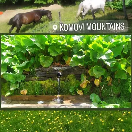 Mountin Hajdi Komovi *